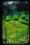 Flower of Life Gate