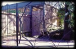 Spider Gate
