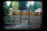 Persian Fence and Gate