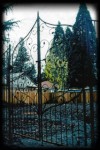 Persian Gate