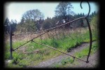 Farm Gate