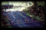 Gear Wheel Gate