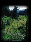 Solar Star Gate
