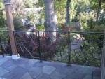 Ice Ray Railings 4