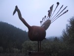 Solar Peacock-1994