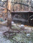 Ice Storm Tragedy