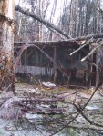 Ice storm Tragedy 4