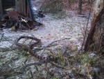 Ice storm Tragedy 5