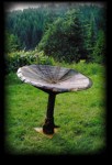 Mushroom Chair-1990