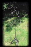 Hat Tree- 1993