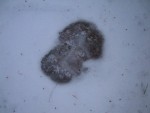 Mysterious Track 1