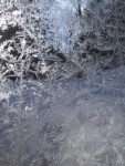 Ice Ray Window