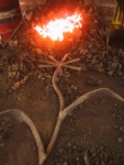 Flower in the Forge