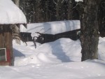 Snowed in Disequalibrium
