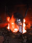 Fire Helmet